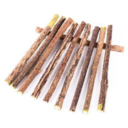 10pcs Pure Natural Catnip Cat Toy - Variety Pack
