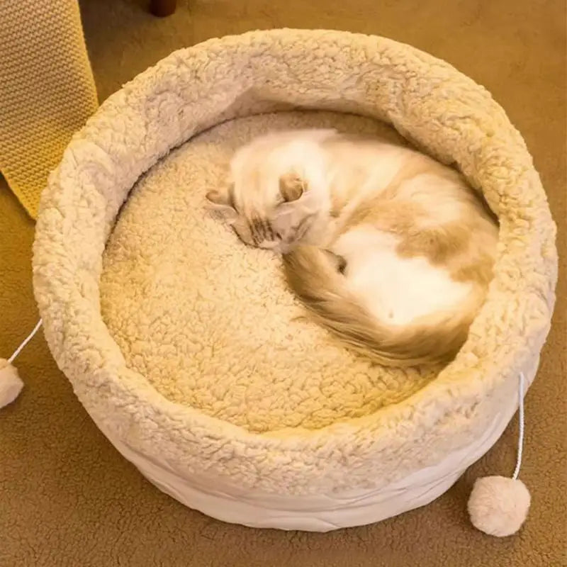 Cat Lounger Cushion - Premium Cotton Comfort Bed