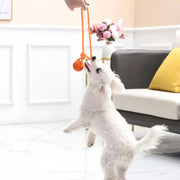 Interactive Rubber Ball - Treat Dispensing Toy