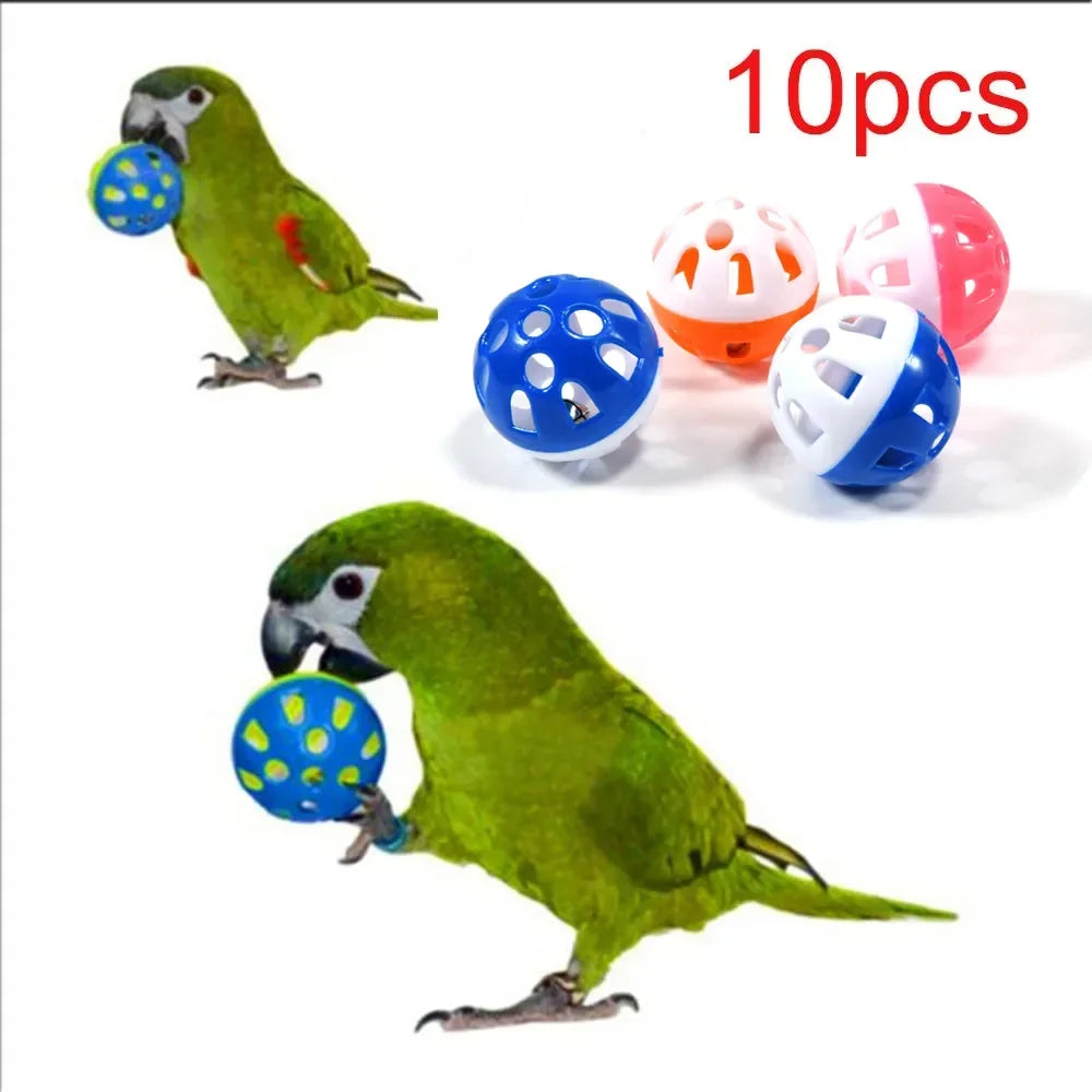 Bird Hollow Ball - Interactive Foraging Toy