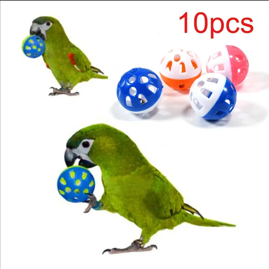Bird Hollow Ball - Interactive Foraging Toy