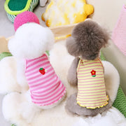 Cute Pet Outfit - Adorable Fashion Ensemble