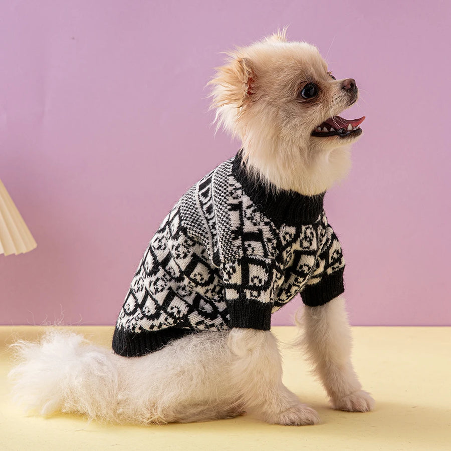 Luxury Fashion Jacket - Premium Designer Dog Wear