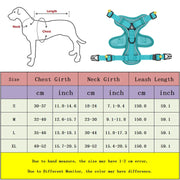 Reflective Dog Harness for Small Dogs - Night Safety