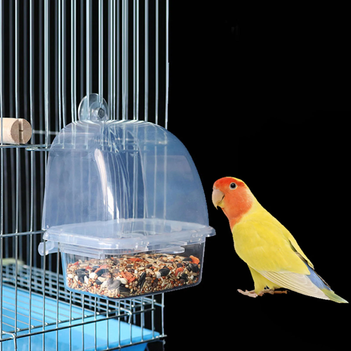 Automatic Bird Feeder - Gravity-Fed Dispenser