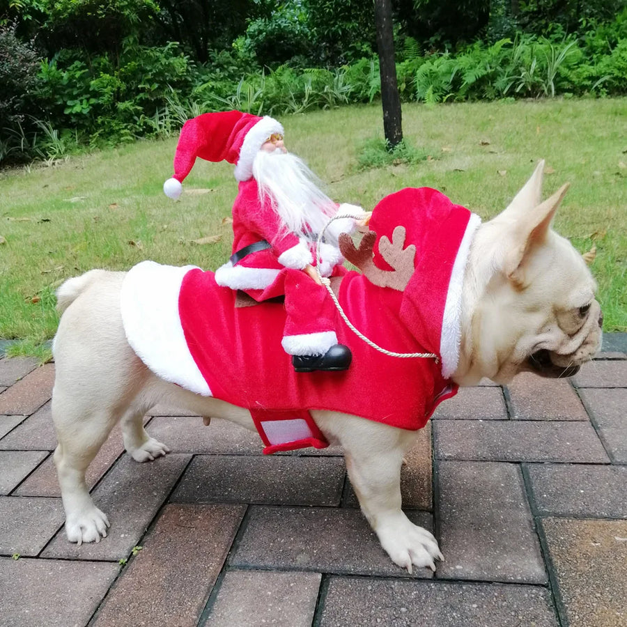Christmas Pet Costume - Festive Holiday Outfit