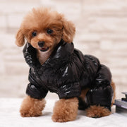 Winter Cat Clothes - Thermal Feline Warmth