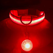 USB Charging Glowing Collar with Pendant - LED Safety