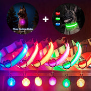 USB Charging Glowing Collar with Pendant - LED Safety