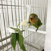 Birds Food Holder - Secure Fruit & Veggie Clip