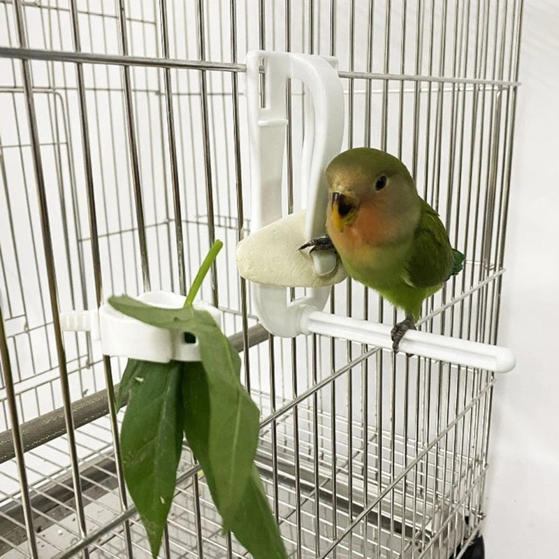 Birds Food Holder - Secure Fruit & Veggie Clip