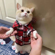 Plaid Cat Shirt - Classic Checkered Style